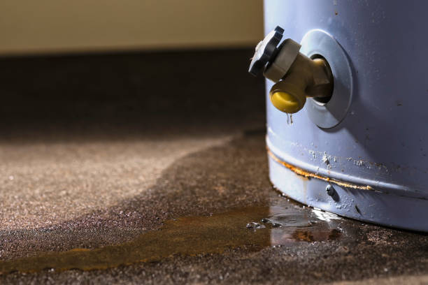 Best Fire Damage Restoration  in Lakewood Park, TN