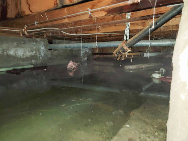 Water damage restoration experts in Lakewood Park, TN