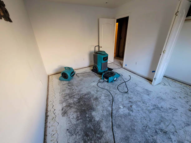 Trusted Lakewood Park, TN Water damage restoration Experts