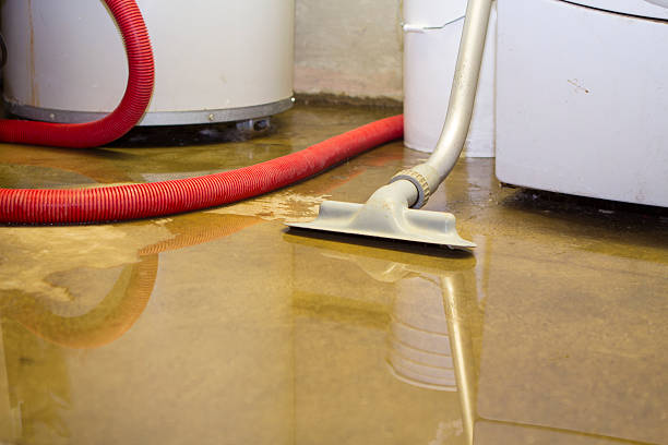 Best Flood restoration services  in Lakewood Park, TN