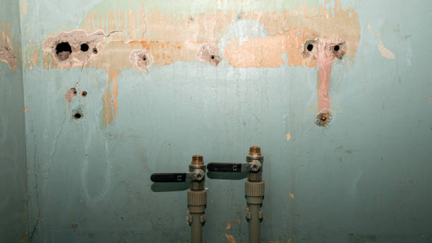 Best Local water damage restoration  in Lakewood Park, TN
