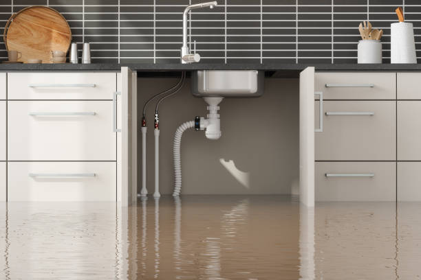 Best Flood restoration services  in Lakewood Park, TN